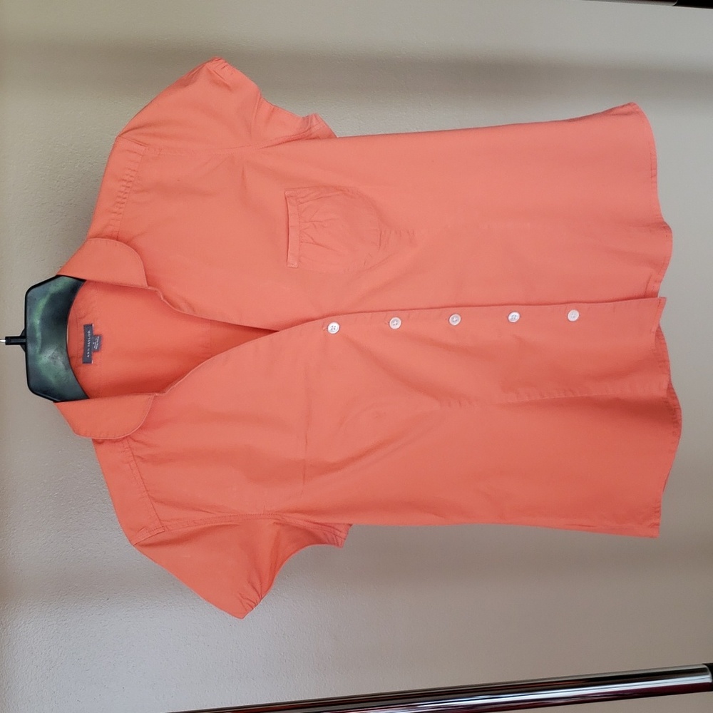 Ann Taylor Blouse